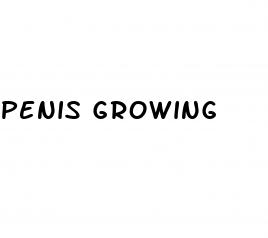 penis growing