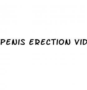 penis erection vid