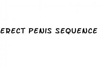 erect penis sequence