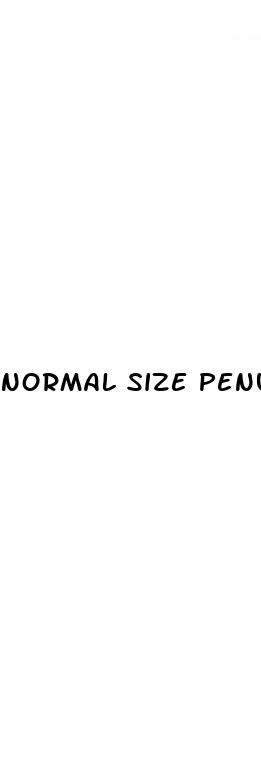 normal size penus