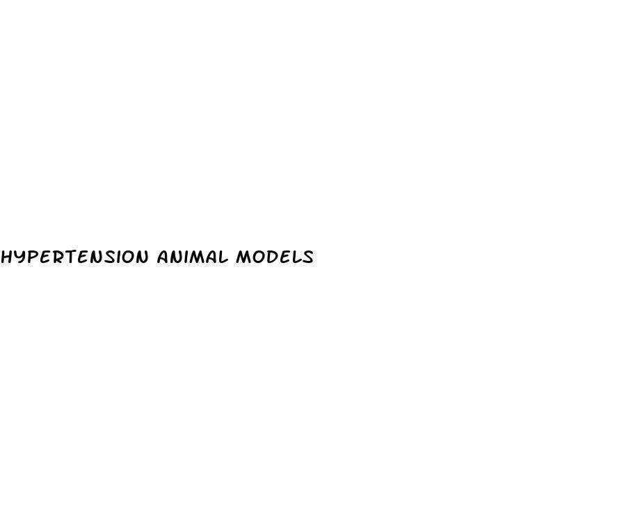 hypertension animal models