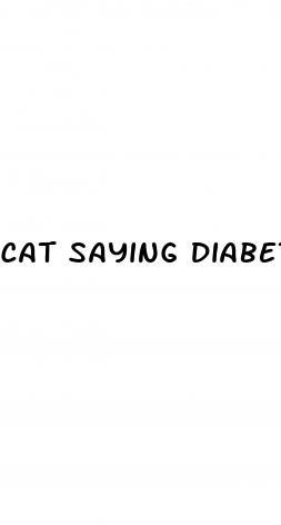 cat saying diabetes