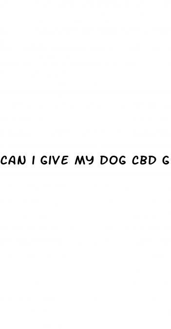 can i give my dog cbd gummies