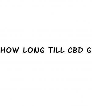how long till cbd gummies