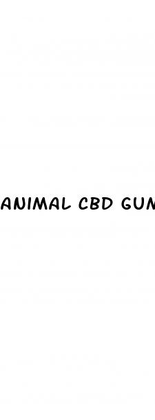 animal cbd gummies reviews