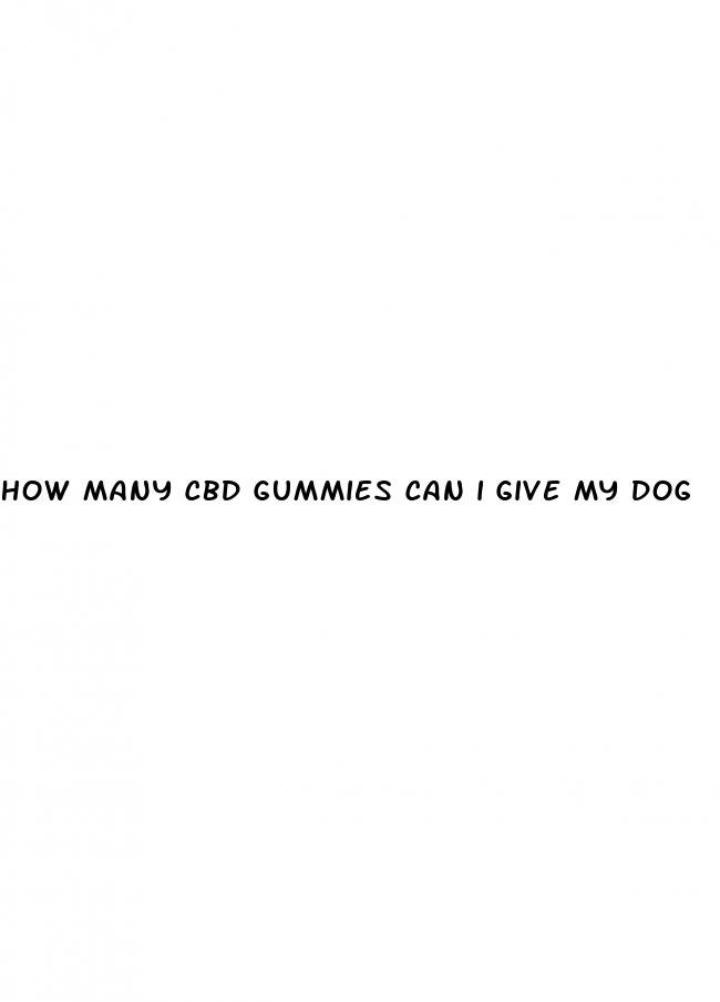 how many cbd gummies can i give my dog