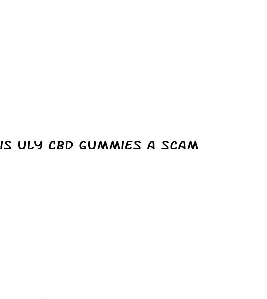 is uly cbd gummies a scam