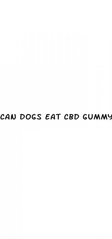 can dogs eat cbd gummys