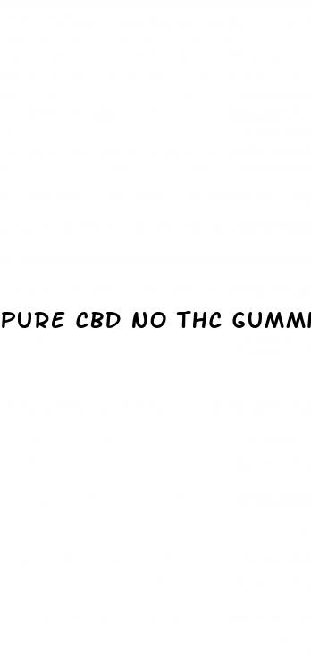 pure cbd no thc gummies