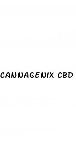 cannagenix cbd square gummies