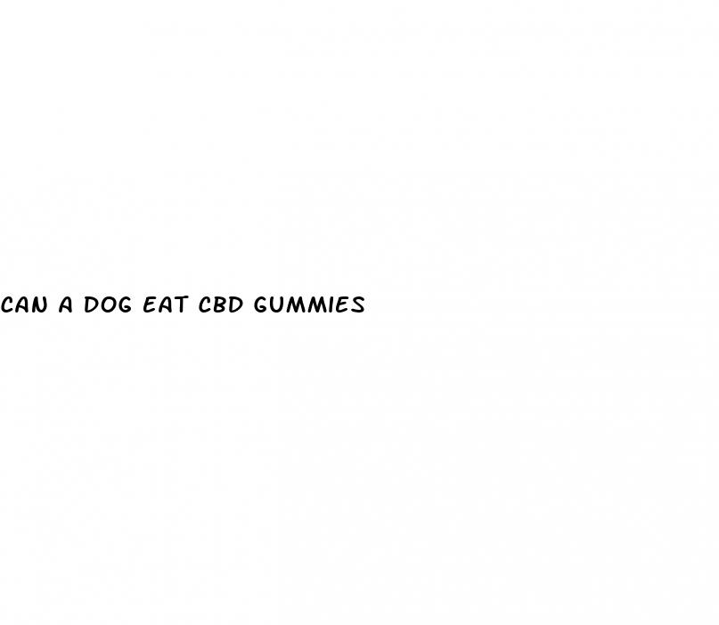 can a dog eat cbd gummies