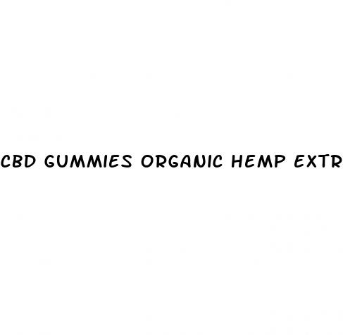 cbd gummies organic hemp extract 300 mg