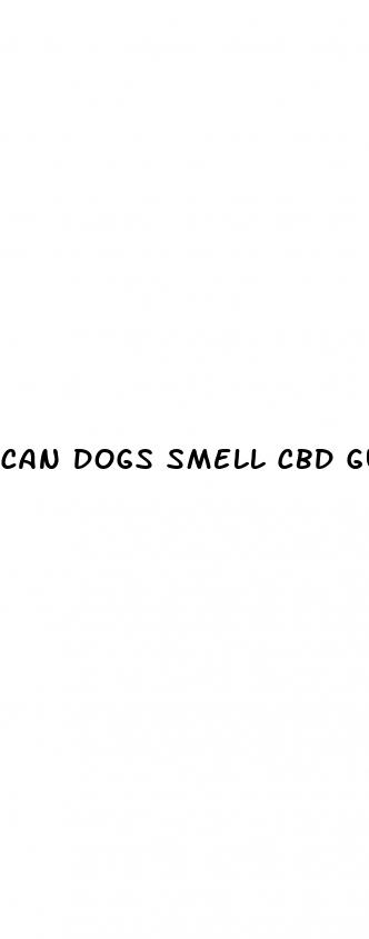 can dogs smell cbd gummies brasil