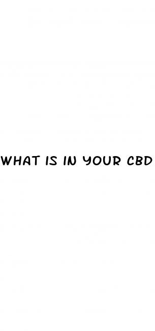 what is in your cbd oil