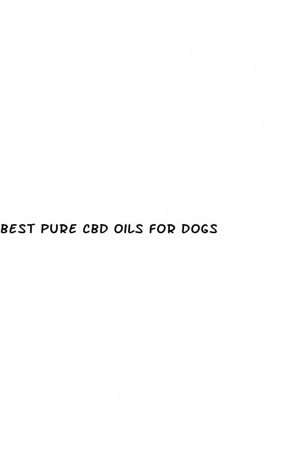 best pure cbd oils for dogs