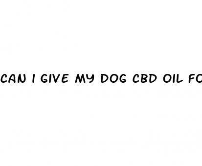 can i give my dog cbd oil for arthritis