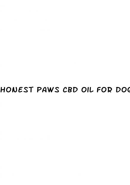 honest paws cbd oil for dogs reviews