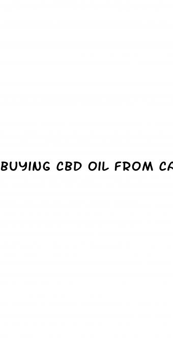 buying cbd oil from cannubis for arthritis and ibs