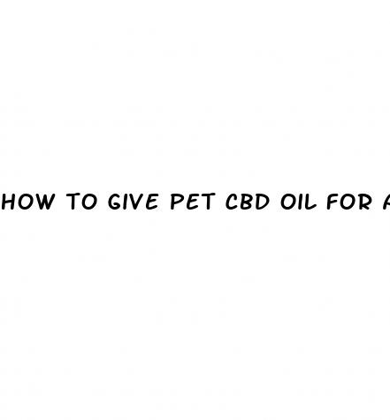 how to give pet cbd oil for anxiety