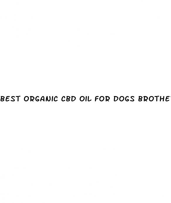 best organic cbd oil for dogs brothers
