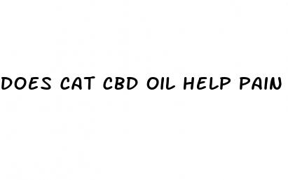 does cat cbd oil help pain