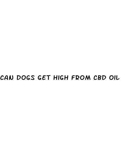 can dogs get high from cbd oil