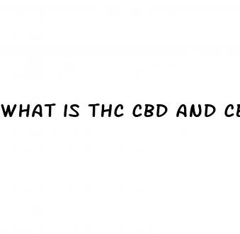 what is thc cbd and cbn