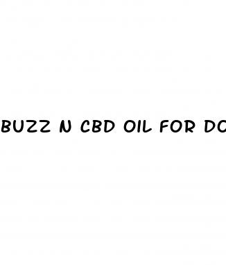 buzz n cbd oil for dogs