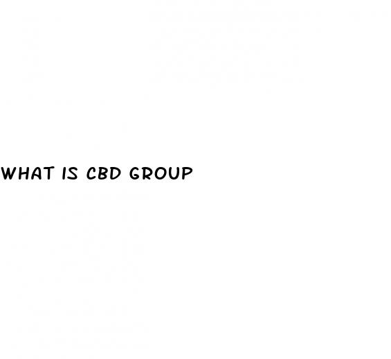 what is cbd group
