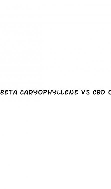 beta caryophyllene vs cbd oil