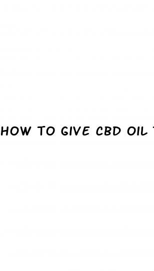 how to give cbd oil to my dog