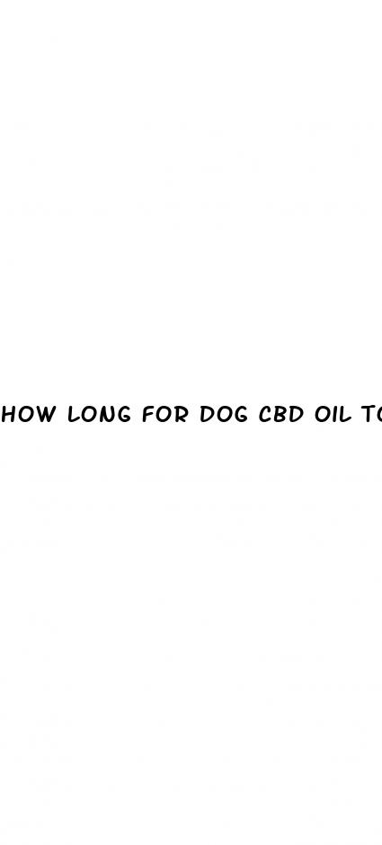 how long for dog cbd oil to work
