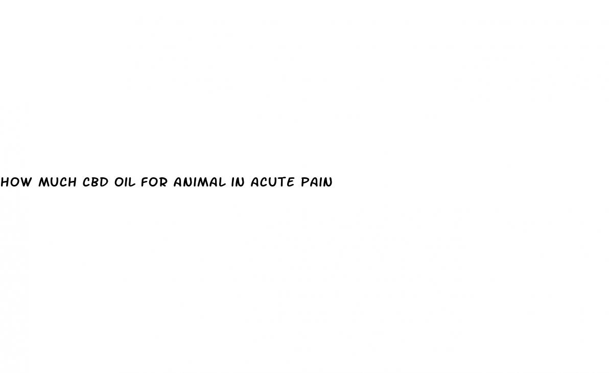 how much cbd oil for animal in acute pain