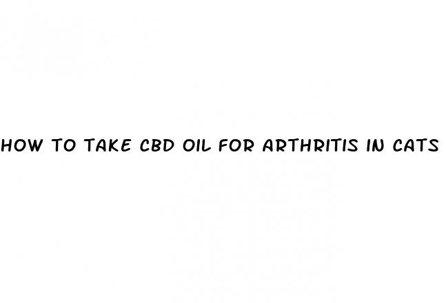 how to take cbd oil for arthritis in cats