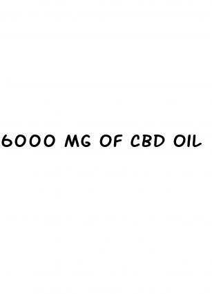 6000 mg of cbd oil