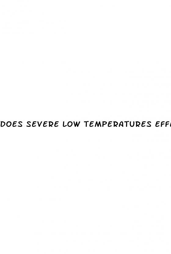 does severe low temperatures effect cbd oil