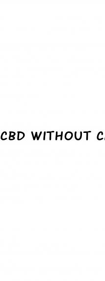 cbd without carrier oil
