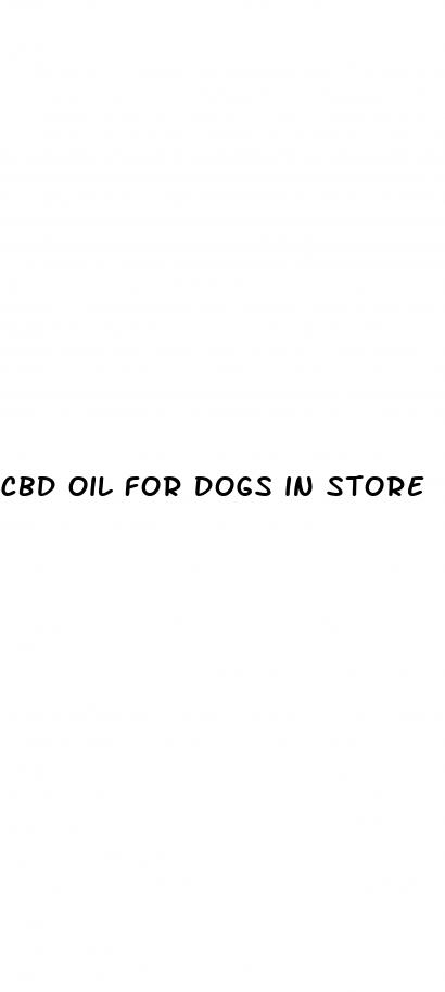 cbd oil for dogs in store