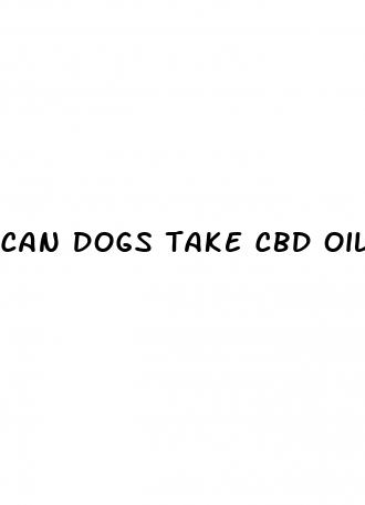 can dogs take cbd oil with antibiotics