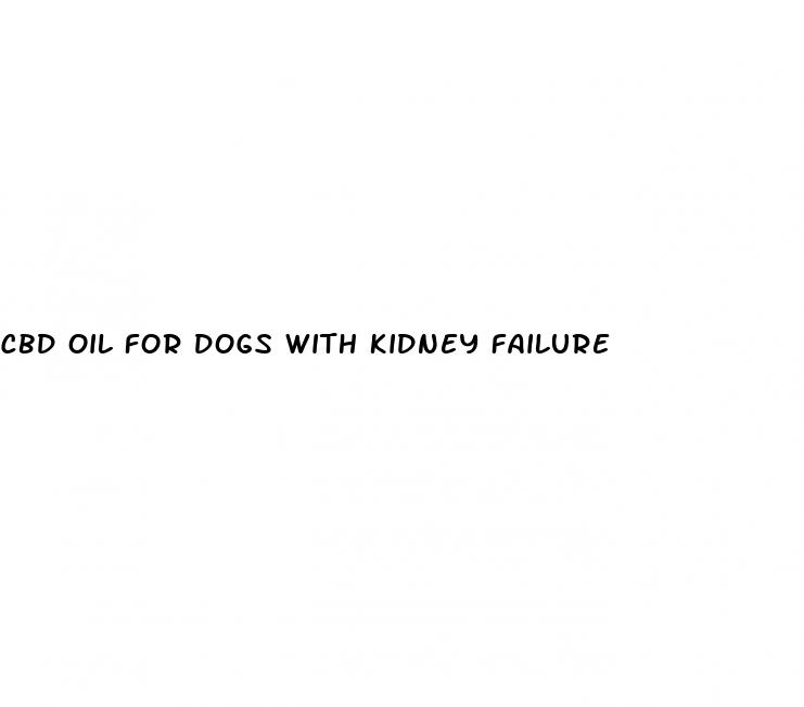 cbd oil for dogs with kidney failure