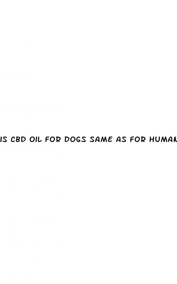 is cbd oil for dogs same as for humans