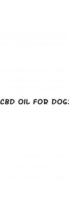cbd oil for dogs austin tx
