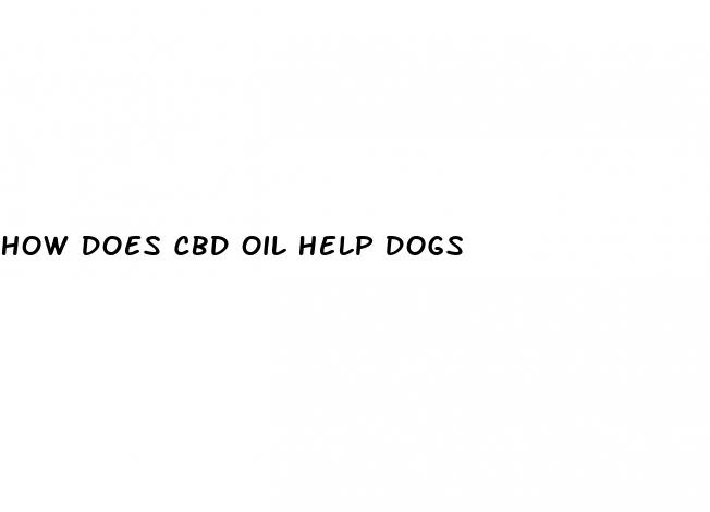 how does cbd oil help dogs