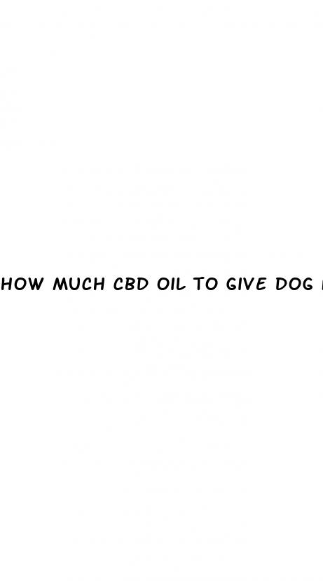how much cbd oil to give dog for seizures