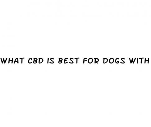 what cbd is best for dogs with anxiety
