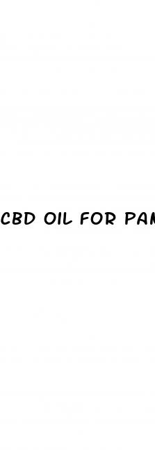 cbd oil for pancreatitis in dogs
