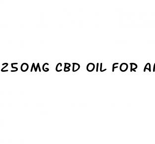 250mg cbd oil for animals