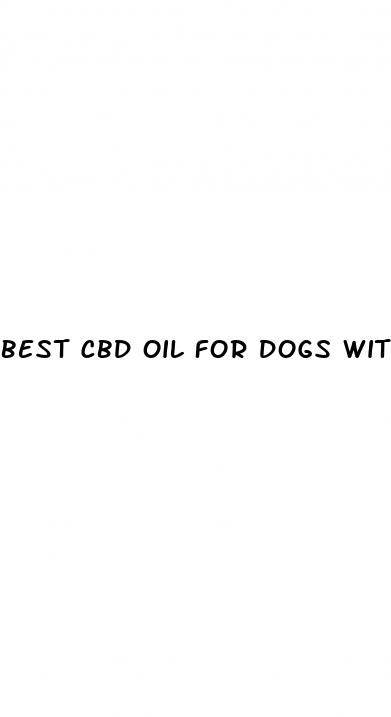 best cbd oil for dogs with skin issues
