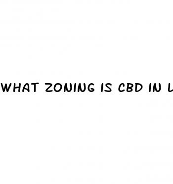 what zoning is cbd in lake county