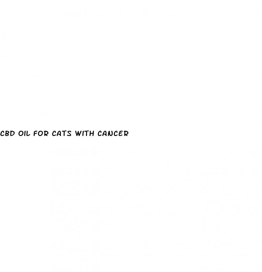 cbd oil for cats with cancer